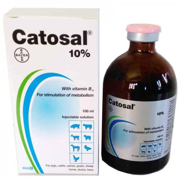 Catosal