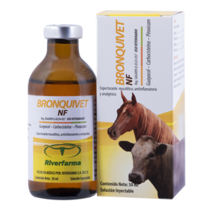 Bronquivet