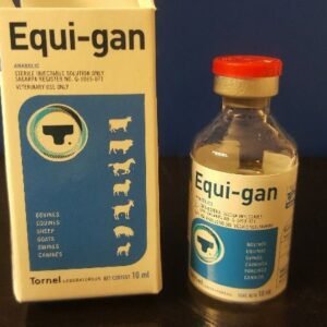 EQUI-GAN