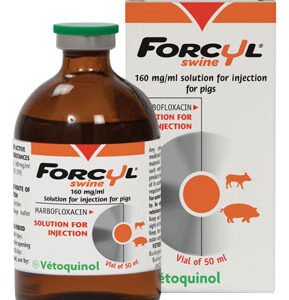 Forcyl Swine