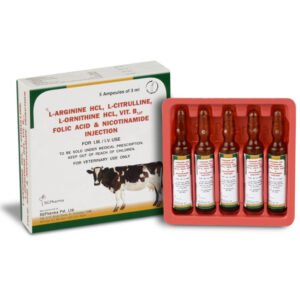 L arganine B12 Injection