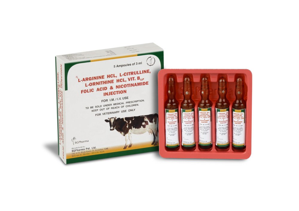 L arganine B12 Injection