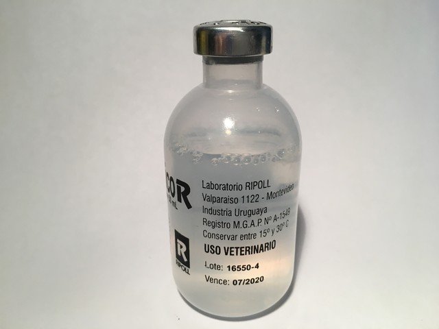 CARDIOTONICO R – 50 ML