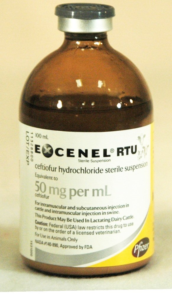 EXCENEL RTU