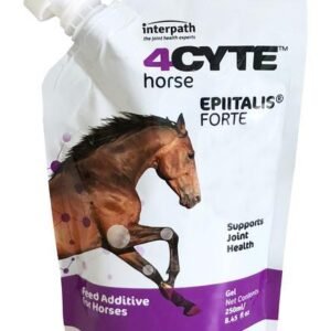 4CYTE HORSE EPIITALIS FORTE GEL