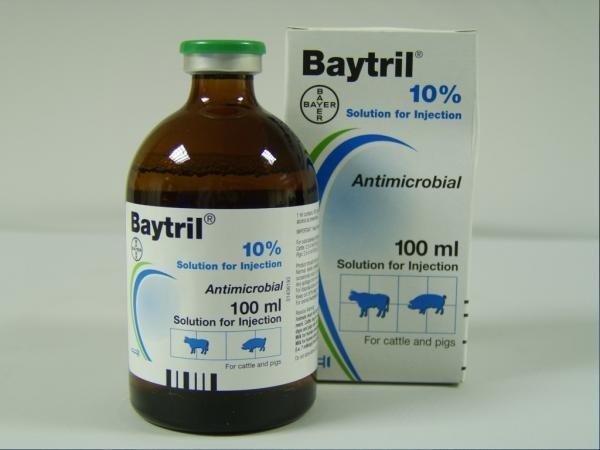 BAYTRIL® 10%