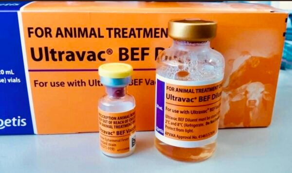 BOVINE EPHEMERAL FEVER VACCINE