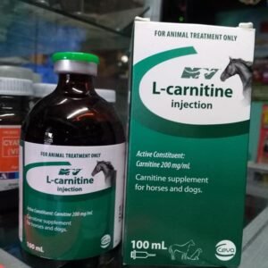 L-CARNITINE