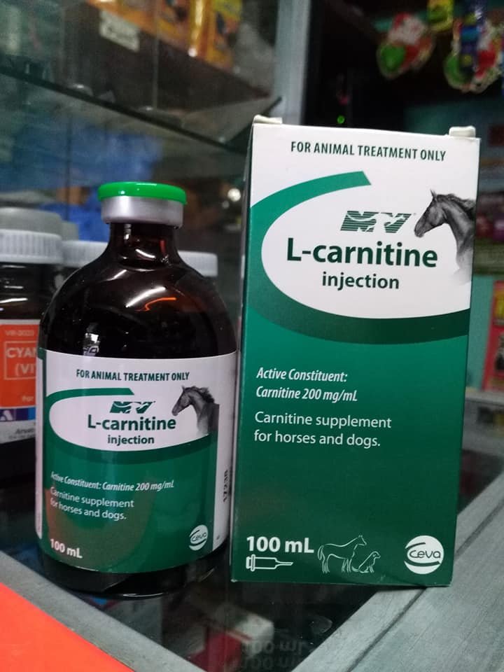 L-CARNITINE