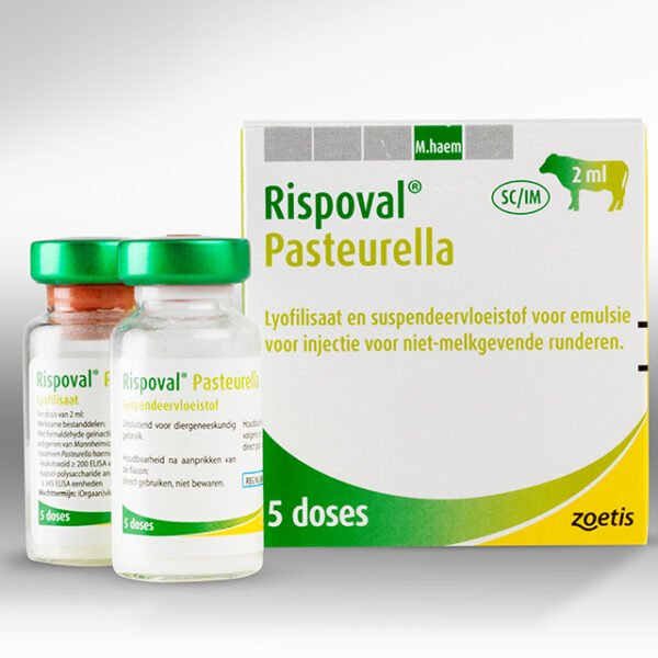 Rispoval Pasteurella 25d