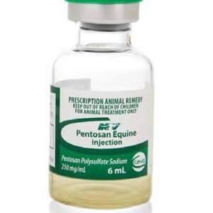 Pentosan with HA