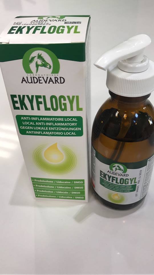 EKYFLOGYL