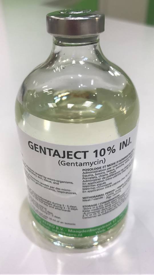 GENTAJECT 10% INJECTION