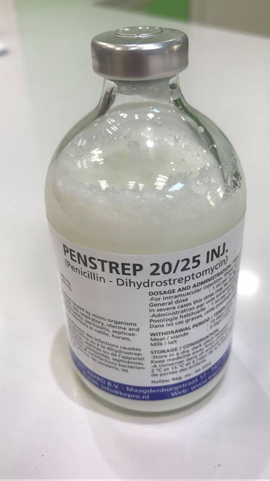 PENSTREP 20/25 100ML