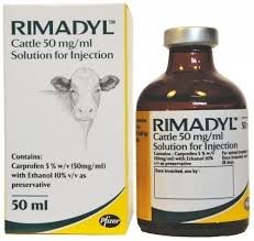 Rimadyl