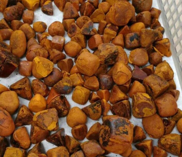 Cow Gallstone/Ox Gallstone