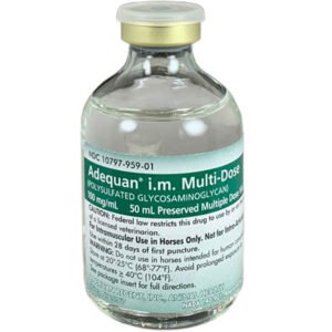 Adequan Multi-Dose